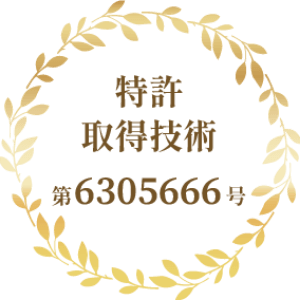 特許取得技術 第6305666号